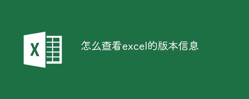 怎麼查看excel的版本信息