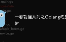 详解Golang的反射（实例）
