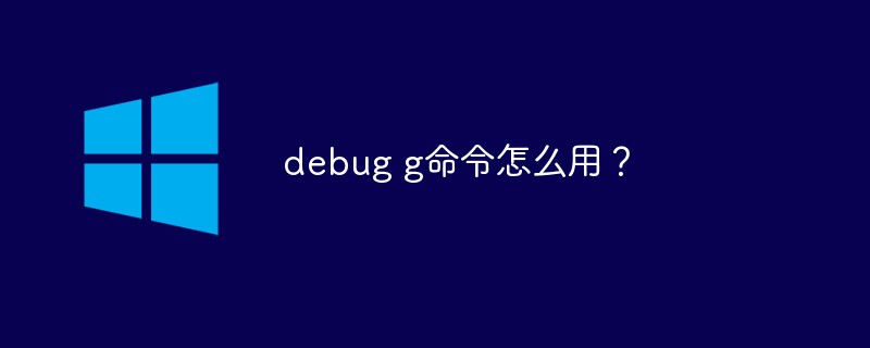 How to use debug g command?