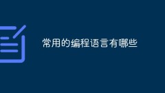 What are the commonly used programming languages?