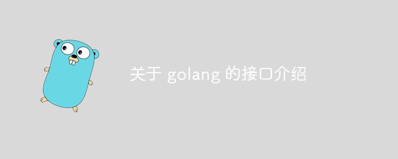 關於 golang 的介面介紹
