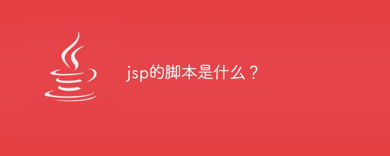 jsp의 스크립트는 무엇입니까?