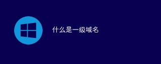 什么是一级域名
