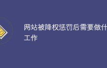 网站被降权惩罚后需要做什么工作