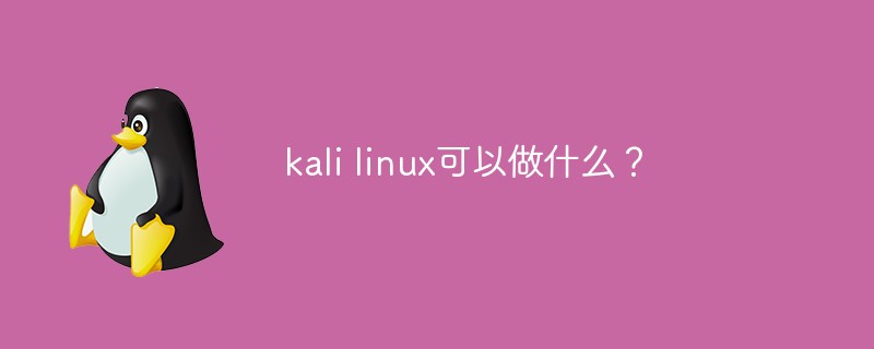 What can kali linux do?