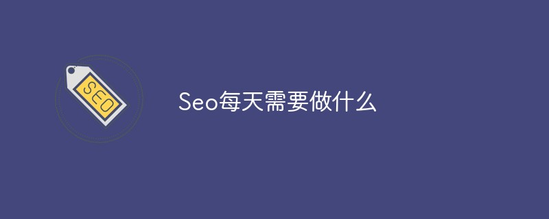 Seo每天需要做什麼