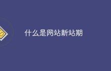 什么是网站新站期