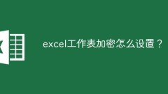 Excel ワークシートの暗号化を設定するにはどうすればよいですか?