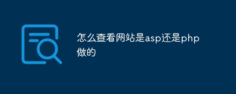 怎么查看网站是asp还是php做的