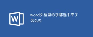 word文档里的字都选中不了怎么办
