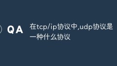 Was für ein Protokoll ist im TCP/IP-Protokoll das UDP-Protokoll?