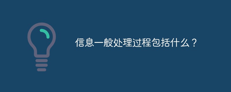 一般的な情報処理プロセスには何が含まれますか?