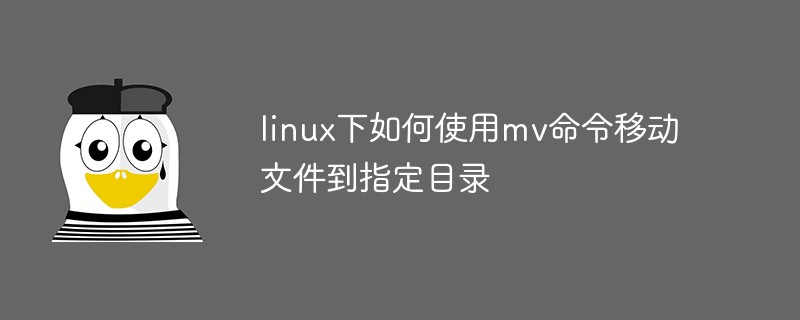 mv 명령을 사용하여 Linux에서 지정된 디렉터리로 파일을 이동하는 방법