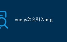 vue.js怎么引入img