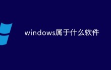 windows属于什么软件