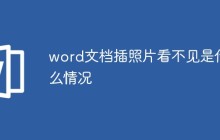 word文档插照片看不见是什么情况