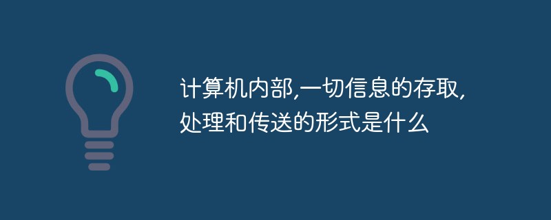 모든 정보가 컴퓨터 내부에서 액세스, 처리 및 전송되는 형식은 무엇입니까?