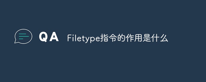 What does the Filetype directive do?