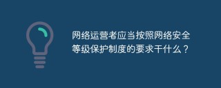 网络运营者应当按照网络安全等级保护制度的要求干什么？