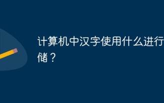 计算机中汉字使用什么进行存储?