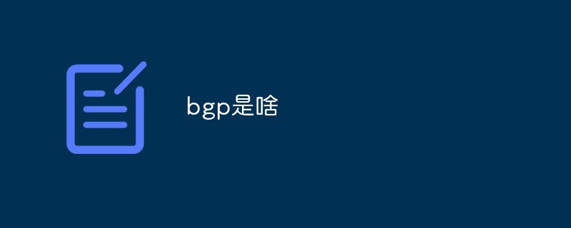 bgpとは何ですか