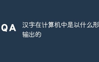 汉字在计算机中是以什么形式输出的