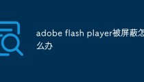 adobe flash player被屏蔽怎么办
