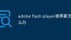 Adobe Flash Player がブロックされた場合の対処方法