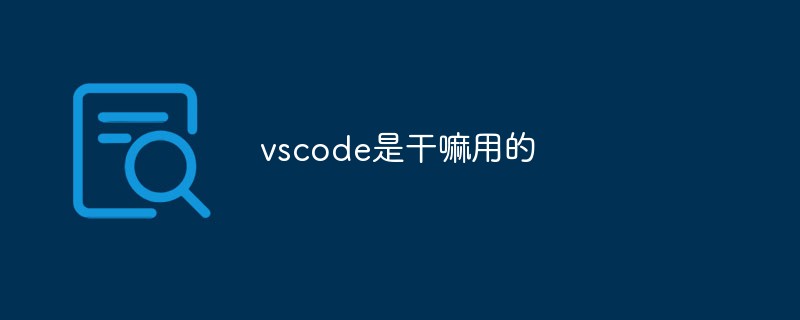 What is vscode used for?