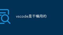 vscode是干嘛用的