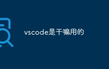 vscode是干嘛用的