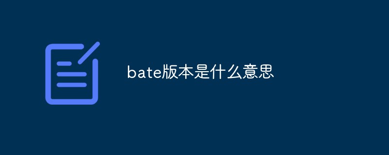 What does bate version mean?