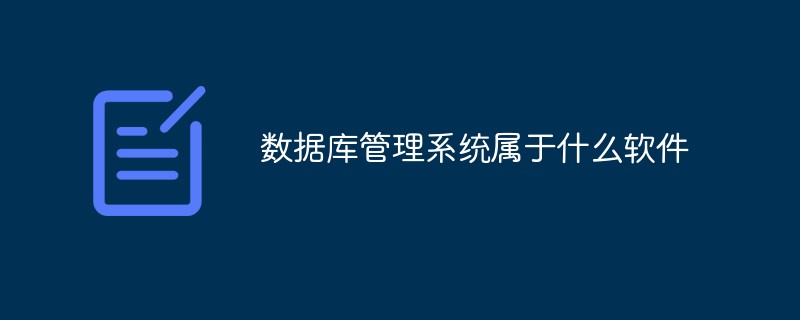 데이터베이스 관리 시스템은 어떤 종류의 소프트웨어에 속합니까?