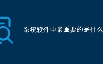 系统软件中最重要的是什么