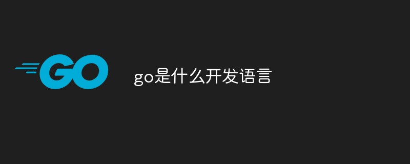 go開発言語とは何ですか?