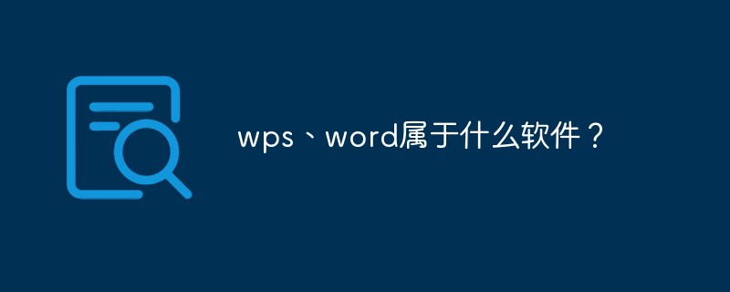 What software does wps and word belong to?