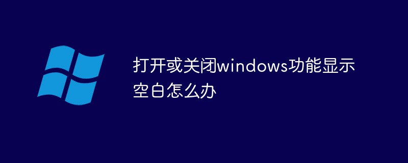 Windows 기능이 켜져 있거나 꺼져 있고 디스플레이가 비어 있으면 어떻게 해야 합니까?