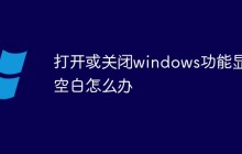 打开或关闭windows功能显示空白怎么办