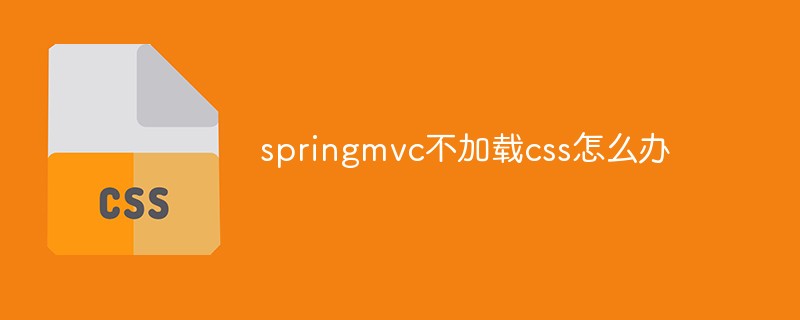 springmvc が CSS を読み込まない場合はどうすればよいですか?