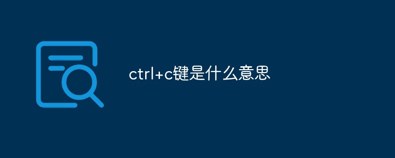 Ctrl+C キーは何を意味しますか?