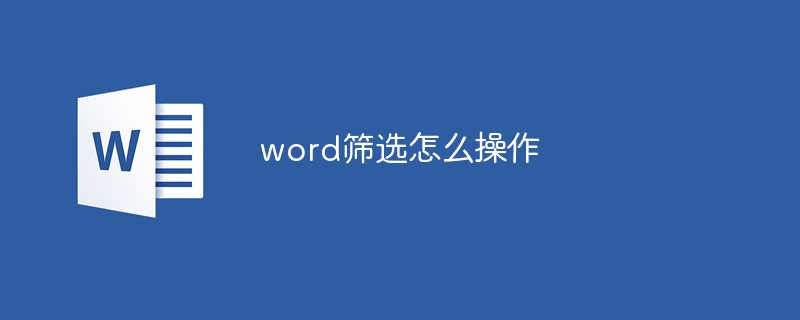 word筛选怎么操作