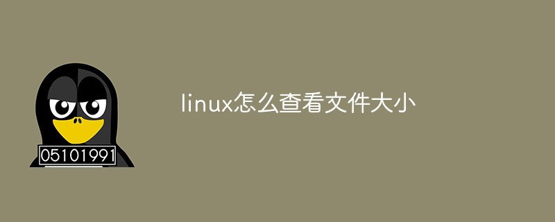 linux怎麼查看檔案大小