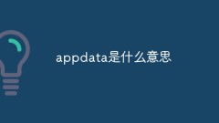What does appdata mean?