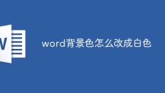 단어 배경색을 흰색으로 바꾸는 방법