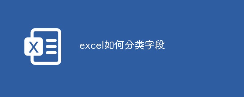 excel如何分类字段