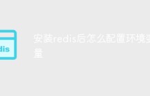 安装redis后怎么配置环境变量