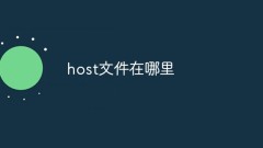 Where is the host file