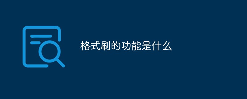 포맷 페인터의 기능은 무엇입니까?