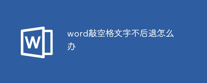 Word에서 공백을 입력할 때 텍스트가 뒤로 돌아가지 않으면 어떻게 해야 합니까?