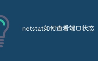 How to check port status with netstat